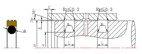 孔用旋轉格萊圈DNS截面結構圖 孔用旋轉格萊圈DNS截面結構圖
