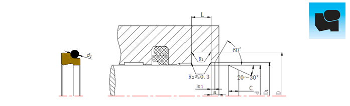 DSZ組合防塵圈切面結(jié)構(gòu)設(shè)計(jì)平面圖.jpg DSZ組合防塵圈切面結(jié)構(gòu)設(shè)計(jì)平面圖.jpg