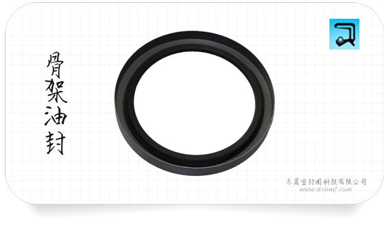 骨架油封 骨架油封