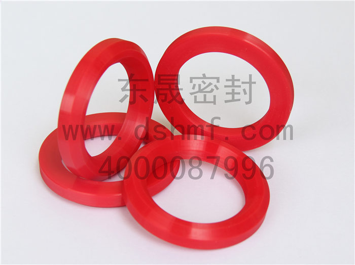 V型圈，密封件產品