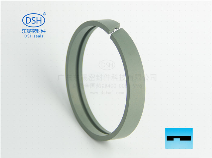 孔用導向帶,導向環