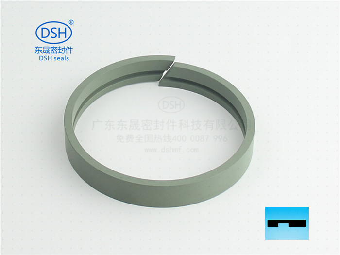 孔用導向帶,導向帶