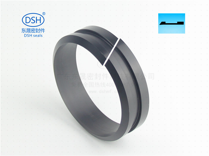 軸用帶刮唇導向環,定制導向環