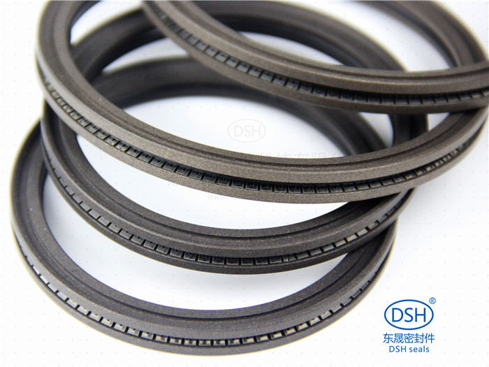 泛塞封 彈簧泛塞封 泛塞封 彈簧泛塞封