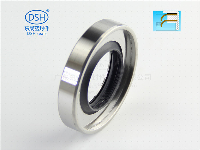 不銹鋼油封 雙唇油封 不銹鋼油封 雙唇油封