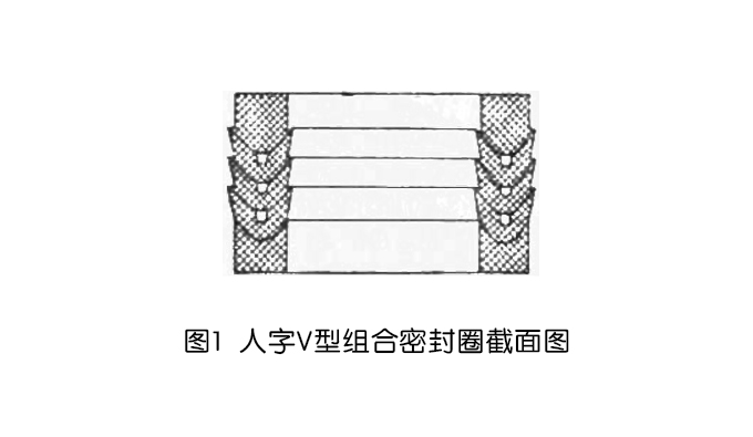 人字V型組合密封圈截面圖