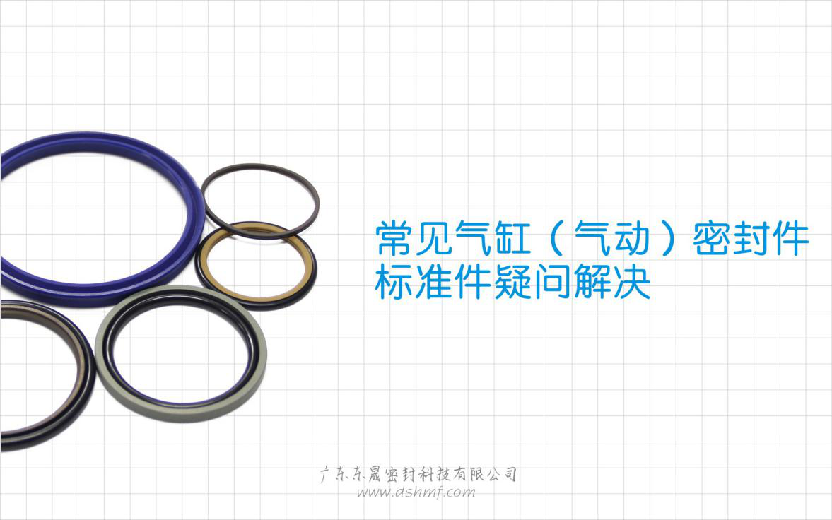 常見(jiàn)氣缸（氣動(dòng)）密封件標(biāo)準(zhǔn)件疑問(wèn)解決？