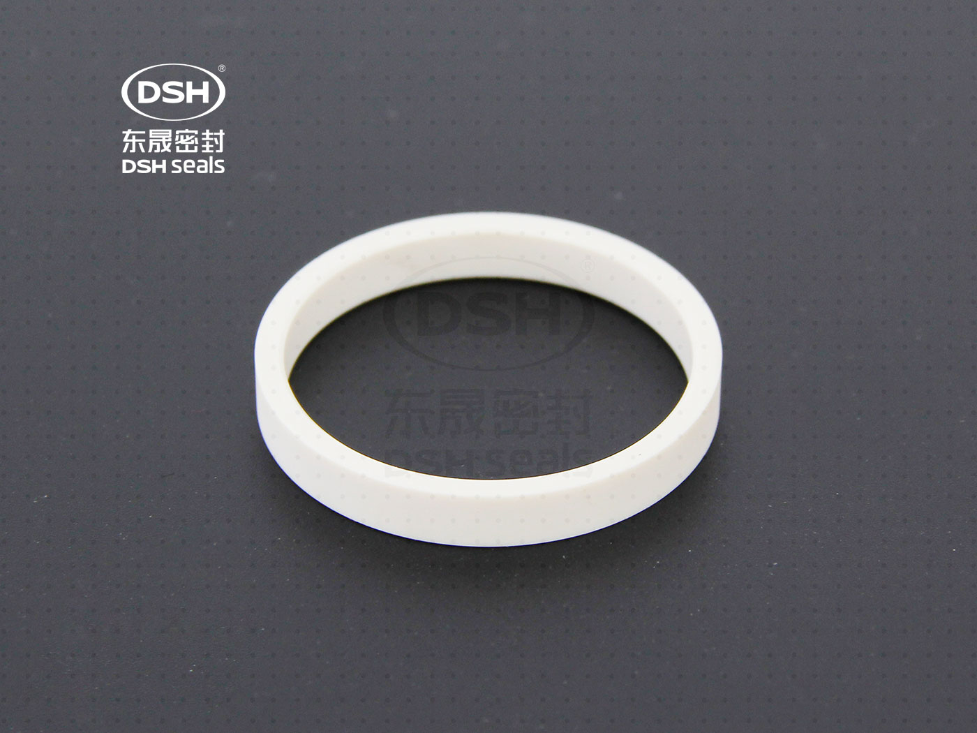 工程塑膠導向環(huán)（高溫導向密封環(huán)）