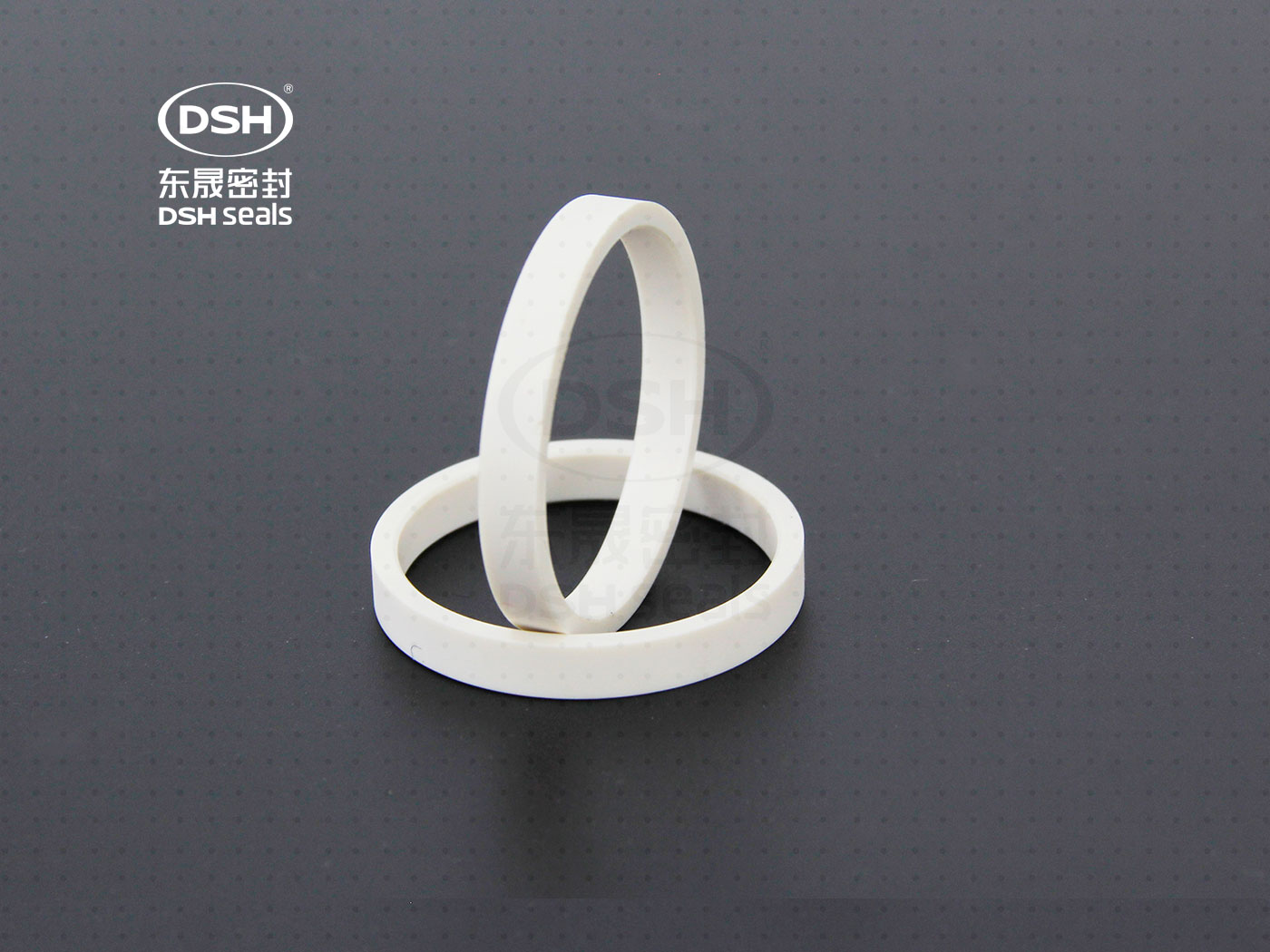 工程塑膠導向環(huán)（高溫導向密封環(huán)）