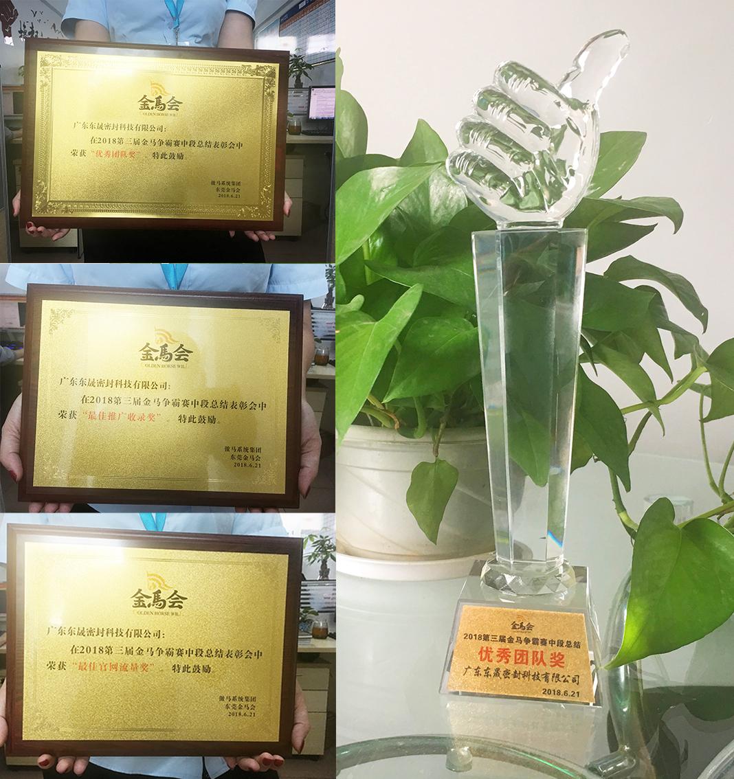 東晟密封件公司獲得了三個(gè)獎(jiǎng)項(xiàng)：“優(yōu)秀團(tuán)隊(duì)獎(jiǎng)”、“最佳官網(wǎng)流量獎(jiǎng)”、“最佳推廣收錄獎(jiǎng)”