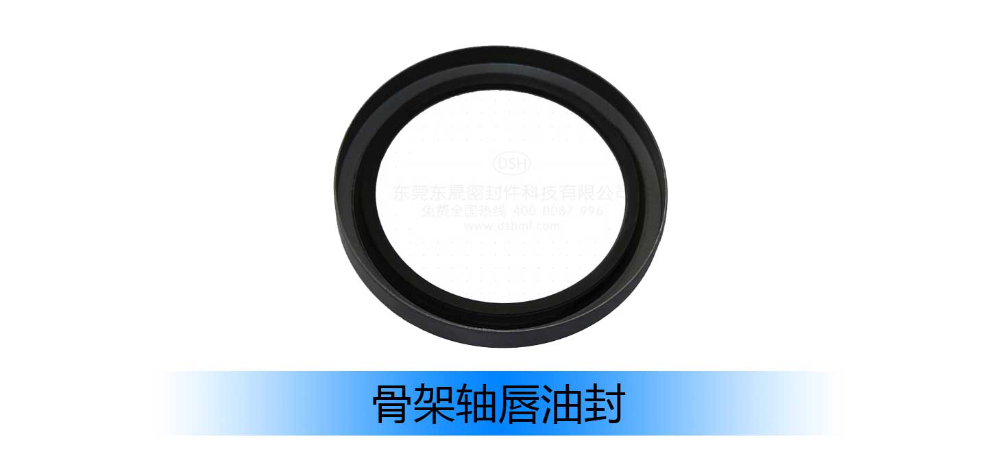 骨架油封