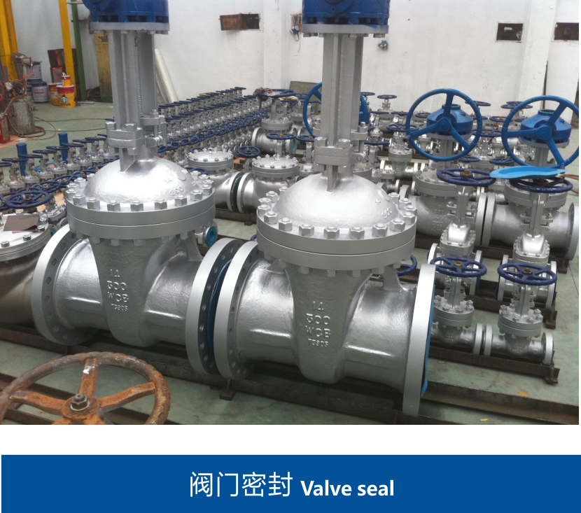 閥門密封 閥門密封