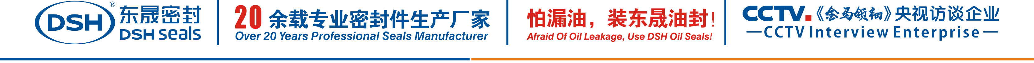 怕漏油，裝東晟油封！