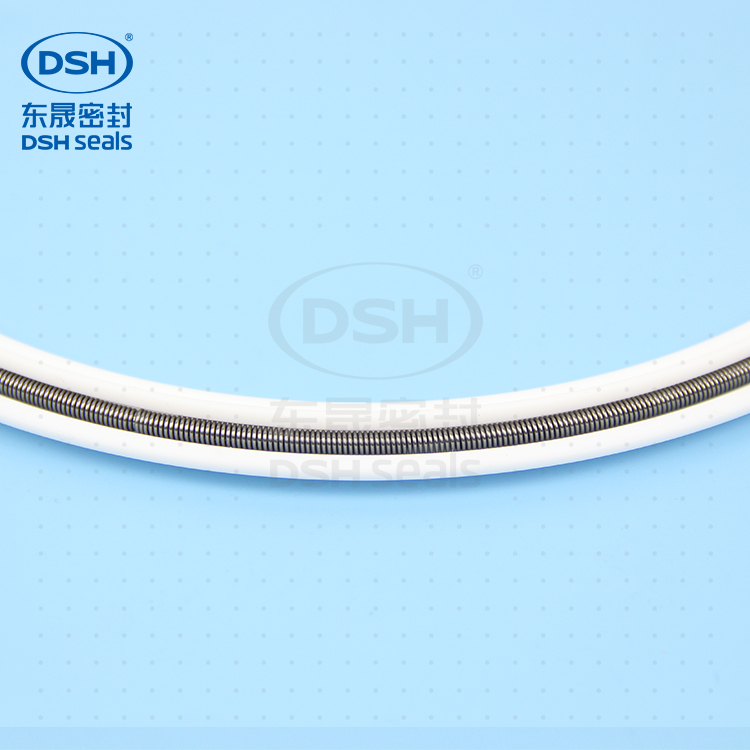 彈簧四氟密封環