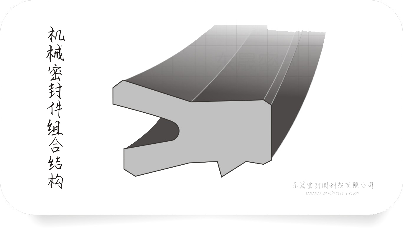 機械密封件截面設計圖1