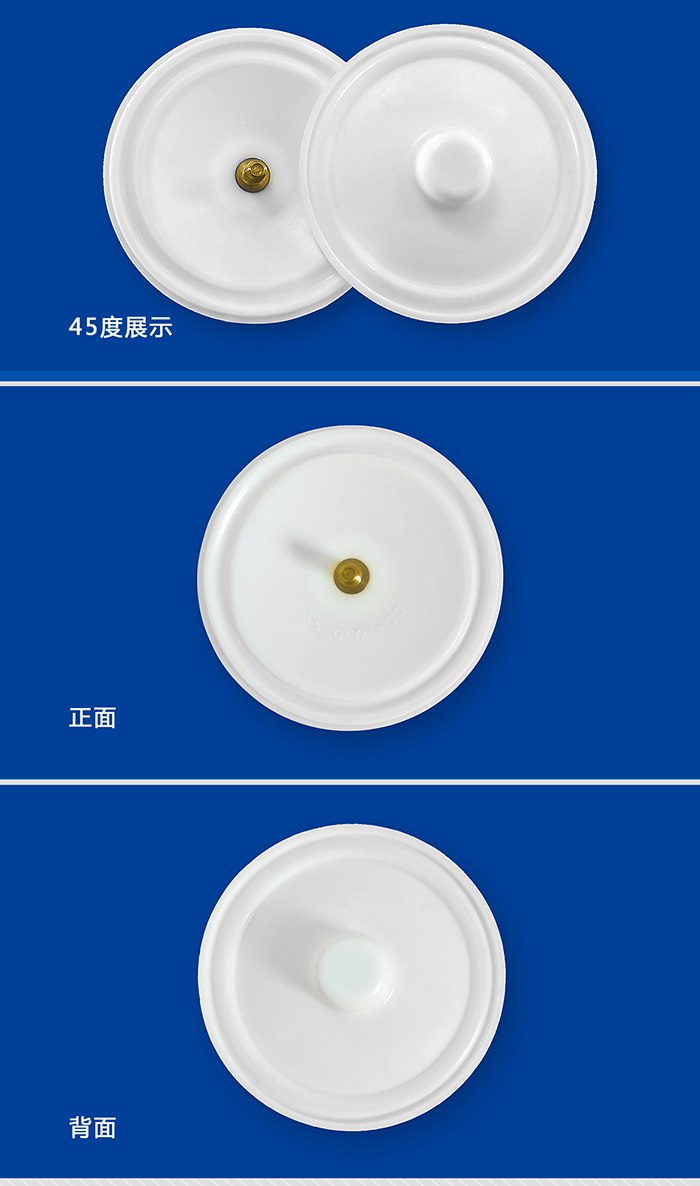 1-700威爾頓耐腐高強度帶螺絲隔膜00-1030-55帶螺絲隔膜大-產品詳情頁-模板_01