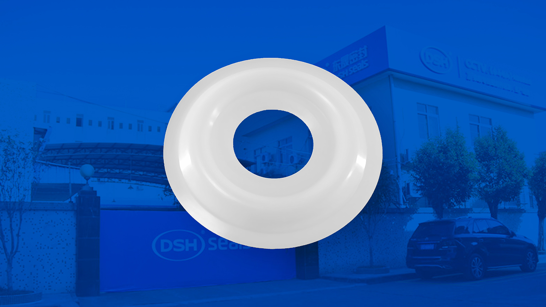 米頓羅計(jì)量泵膜片 （又叫隔膜、密封件、密封圈、油封） (2)