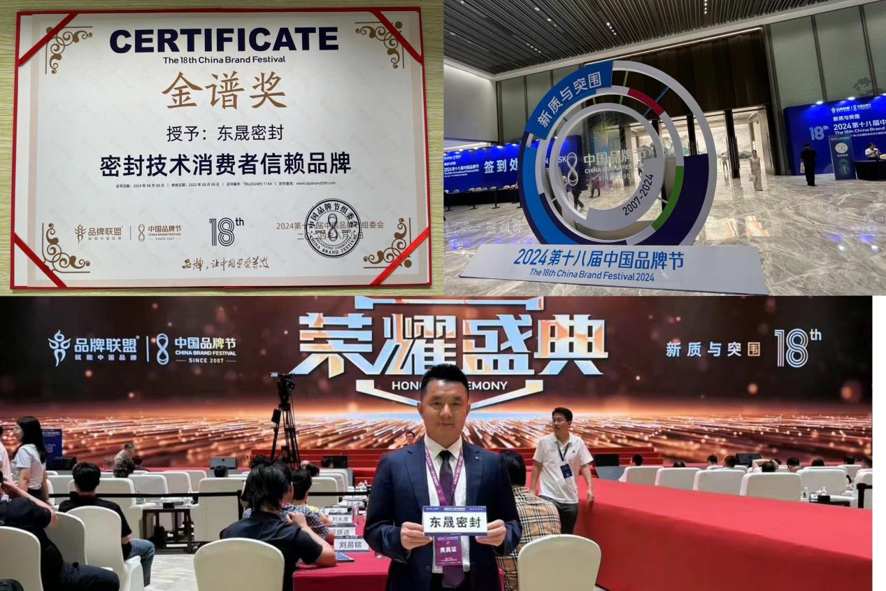 3東晟密封件閃耀2024第十八屆中國品牌節,榮獲密封技術“金譜獎” 3東晟密封件閃耀2024第十八屆中國品牌節,榮獲密封技術“金譜獎”