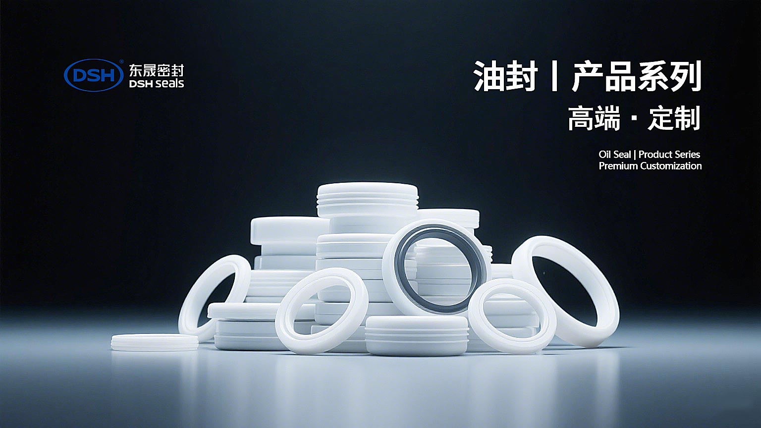 一種油封及其加工治具：高端油封產(chǎn)品系列海報1