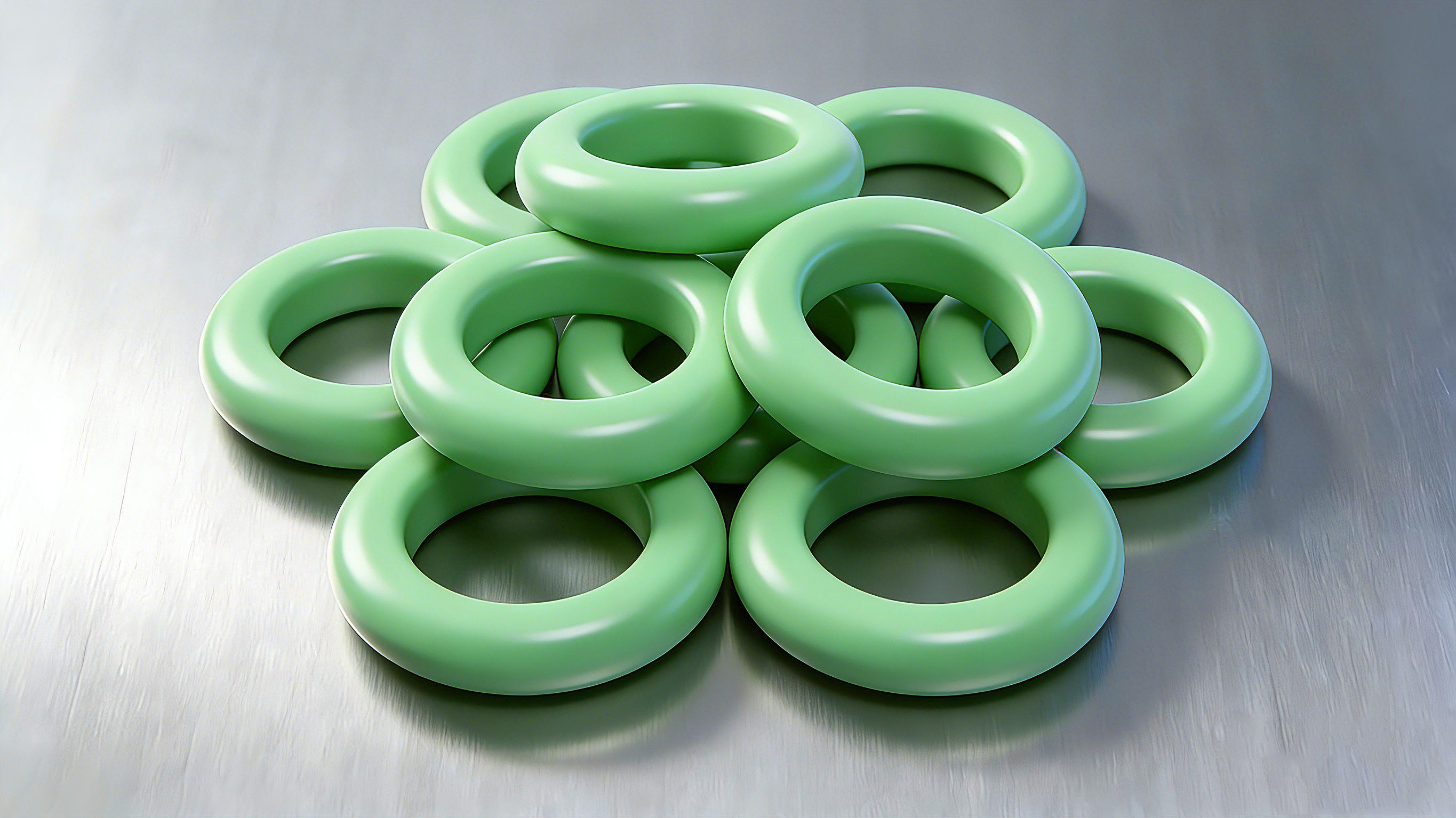 O型密封圈2000 (2)