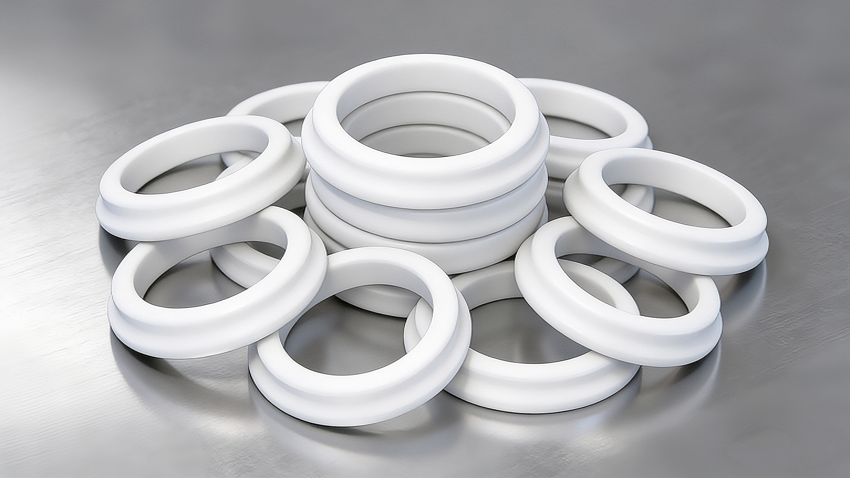 防塵圈DSZ-2000 (2)