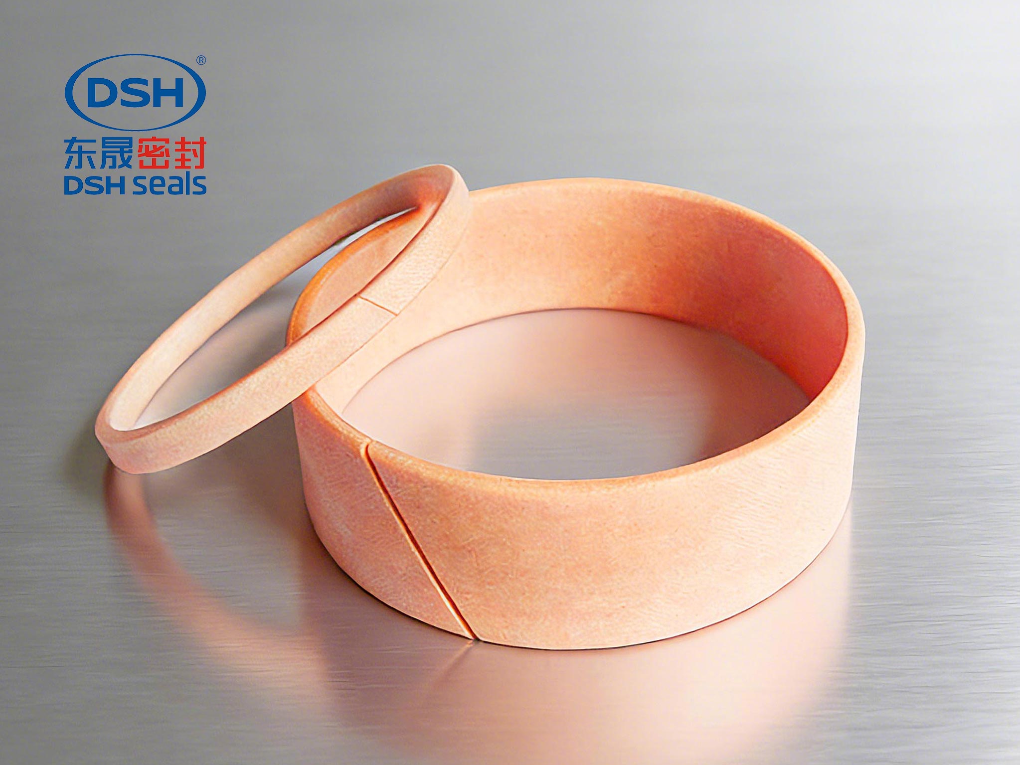 導(dǎo)向環(huán)DST3-450 導(dǎo)向環(huán)DST3-450