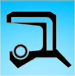 全氟橡膠油封(純氟油封)