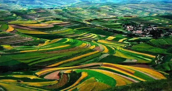 東晟密封與你一起植樹環保