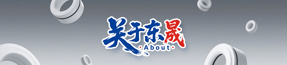 東晟優勢 - 廣東東晟密封科技有限公司1