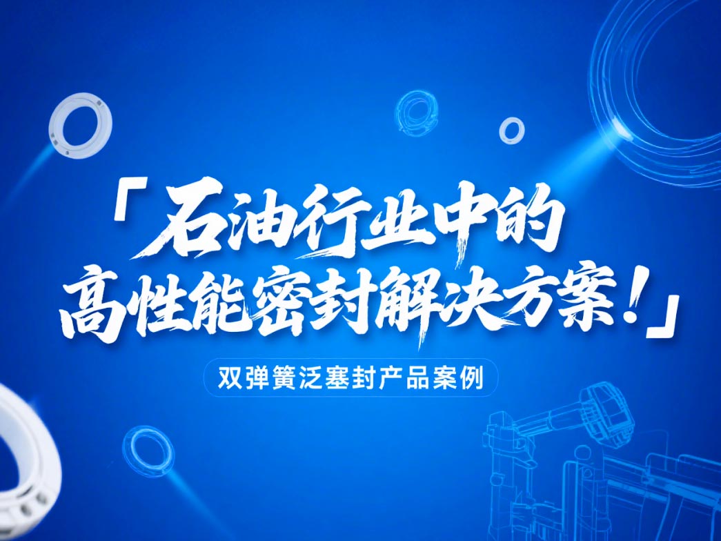 ?雙彈簧泛塞封產(chǎn)品案例 ? 石油行業(yè)中的高性能密封解決方案!?