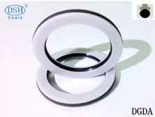 組合密封DGDI