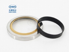 帶黃片不銹鋼油封(配套油封)