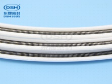 彈簧四氟密封環